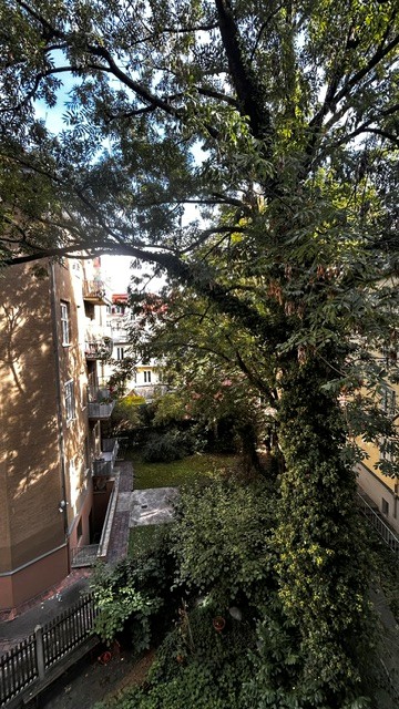 Ausblick Innenhof